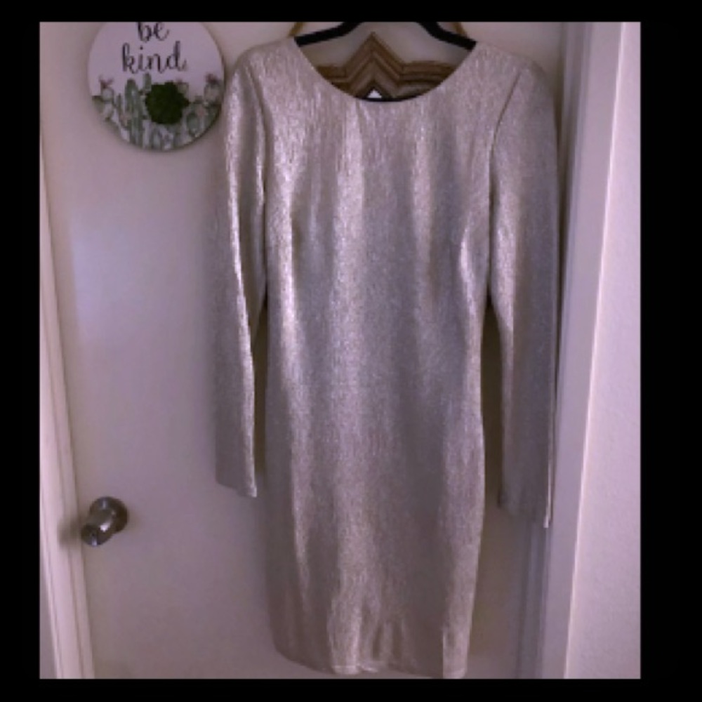 Bailey Blue Champagne / Silver Cocktail Dress L